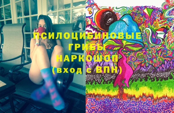 мдпв Балахна