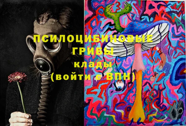 мдпв Балахна